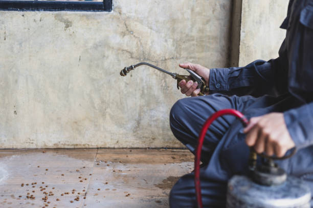 Best Residential Pest Control  in Hopewell, TN